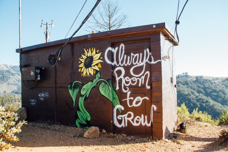 Re-Thinking Training and Development in a Post-Covid World