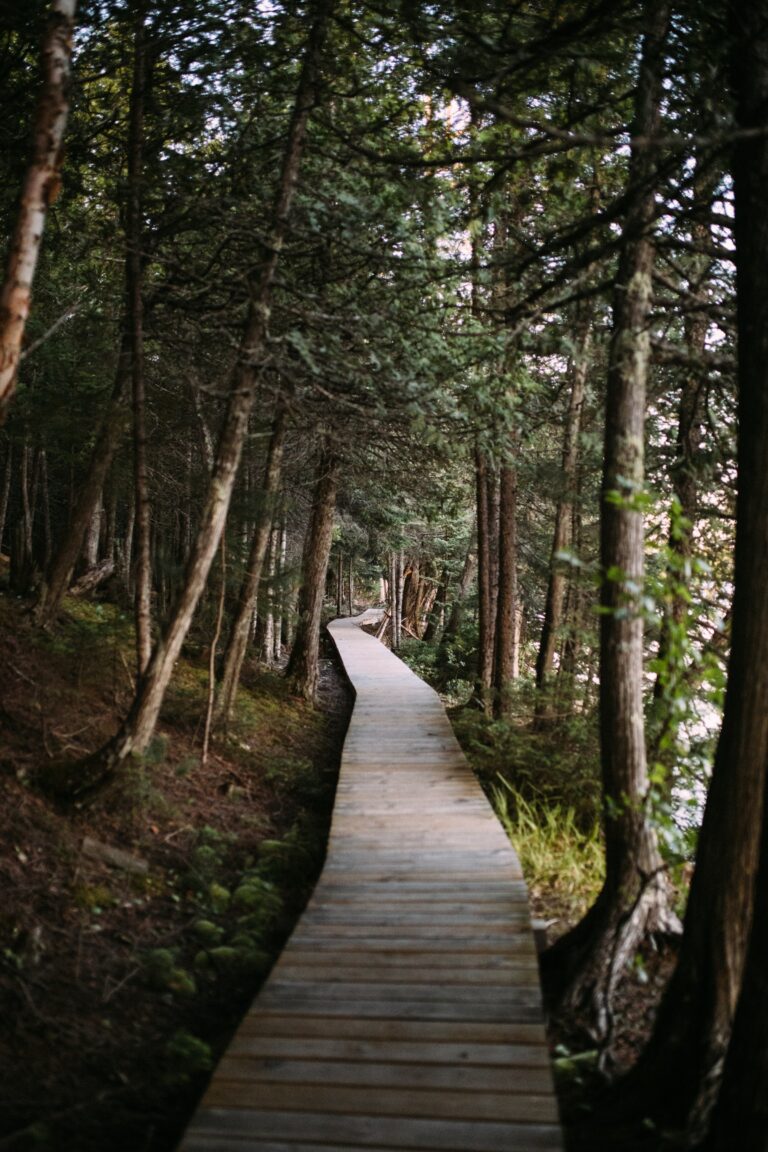 5 Tips for setting healthy boundaries