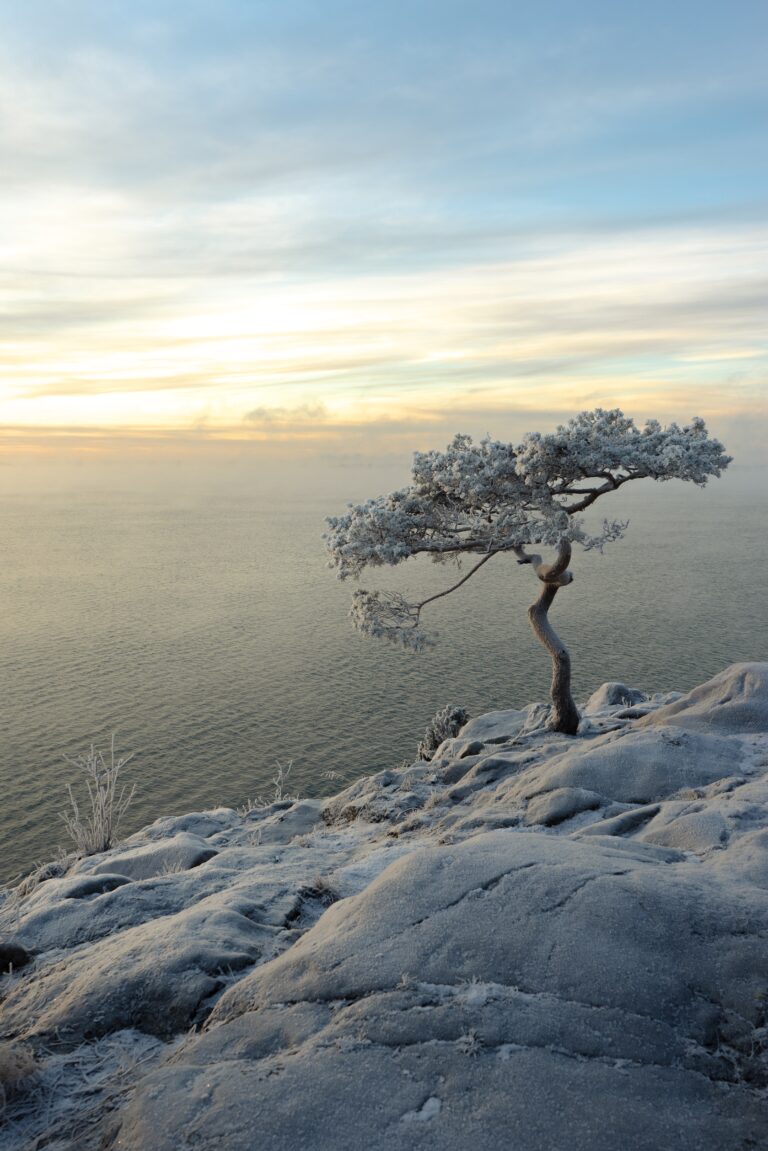 9 Ways to be Resilient